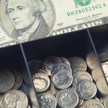 Zakieh Shirafkan logo for economy